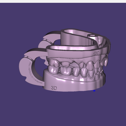 Screenshot_10.png 带功能关节器接口的数字切面模型
