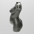 02.png 3D file Bust of a pregnant woman・Design to download and 3D print