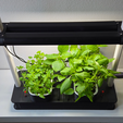 hydroponic-system-basil-planter-3d-druck-pflanztopf.png Horta hidropónica silenciosa - Plantação de ervas aromáticas