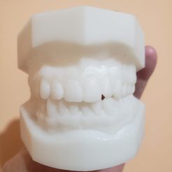 yo-1.jpg Fichier 3D Dentier complet・Plan à imprimer en 3D à télécharger