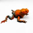 flexi-toad-3D-MODEL-3.jpg Flexi Toad Frog articulated print-in-place no supports