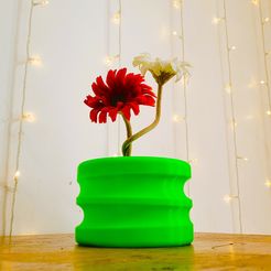 a20230714_153739.jpg 3MF-Datei Rings Planter By ie Concepts - KEINE UNTERSTÜTZUNG ERFORDERLICH kostenlos・Vorlage für 3D-Drucker zum herunterladen