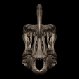 55.png Cráneo de Proceratosaurus