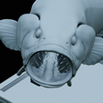 Bass-trophy-50.png Largemouth Bass / Micropterus salmoides fish in motion trophy statue detailed texture for 3d printing