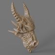 ds.491.jpg 3D-печатная модель черепа дракона