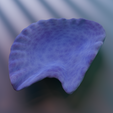 oyster-shell-vol.-11-image-3.png Oyster Shell (Volume 11)