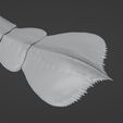 Jaekelopterus3D_08.jpg Sea scorpion (Jaekelopterus rhenaniae)