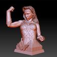 WonderWoman_0020_Layer 13.jpg Wonder Woman Gal Gadot 3d print bust