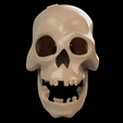 f6fde547-4076-41c1-bcdb-8672fc3de6e6.png Halloween Talking Skull Disneyland's Pirates of the Caribbean Ride