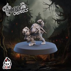 Gnoblar-08-1.jpg Gnoblar #8 - Ogre Team