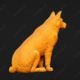 462-Australian_Cattle_Dog_Pose_04.jpg Australian Cattle Dog 3D Print Model Pose 04