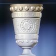 66F4A741-4991-4C83-A754-7BCFDE485001.jpeg DFB Pokal