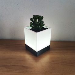 IMG_20201007_140847.jpg Файл STL LED Lamp Succulent planter・Модель 3D-принтера для скачивания
