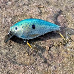 SquareBill-004.jpg STL file 2.5" Squarebill Crankbait・3D print design to download