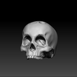 213.png Skull