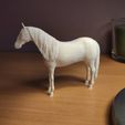 IMG_20210224_150101.jpg Fichier 3D Cheval andalou・Modèle à imprimer en 3D à télécharger