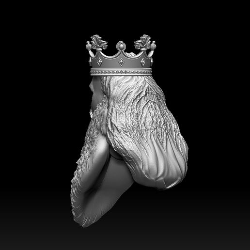 23423432423234423234.jpg king