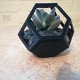 Plantygon - Modular Geometric Stacking Planter for Succulents