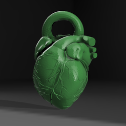 Anatomic-Heart-Pendant.png Colgante Corazón Anatómico