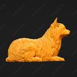 718-Australian_Terrier_Pose_09.jpg Australian Terrier Dog 3D Print Model Pose 09