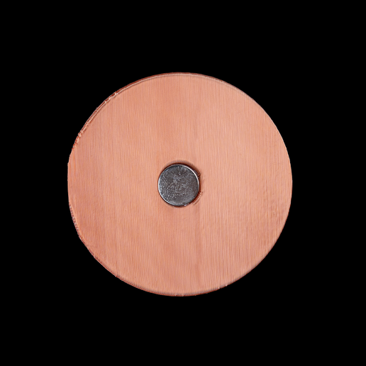 Travel-Penny-5.png Travel Penny - Compatible avec l'IA