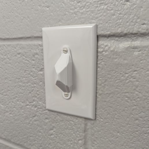PXL_20240416_200154153.jpg Light Switch Guard Lock Full Cover and Minimal