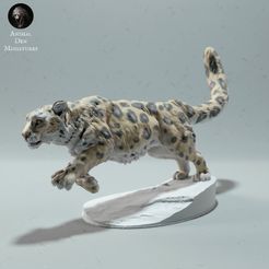 snow_leo_run_1.jpg Archivo STL Carrera Snow Leopard・Plan imprimible en 3D para descargar, AnimalDenMiniatures