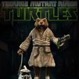 SPLINTER_01.jpg Splinter TMNT Teenage Mutant Ninja Turtles