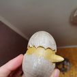 20220404_180010.jpg Baby Chicken in cracked Easter Egg