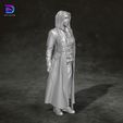 2.jpg Nymphadora Tonks Harry Potter Action Figures Custom 3D Print Model 3D print model