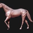 02.jpg Thoroughbred Horse model 3D print model