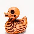 0004.jpg Duck Minimalist Skeletal toy