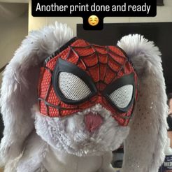 SPIDER CAT PETER PARKER - Mask