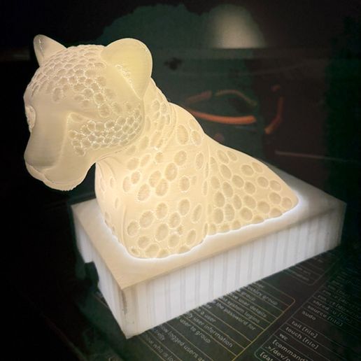 Leopard Lithophane - Hollow