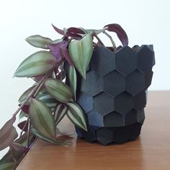 20240322_162400_001.jpg Hexagon Tile Flower Pot Plant Holder with ridged base
