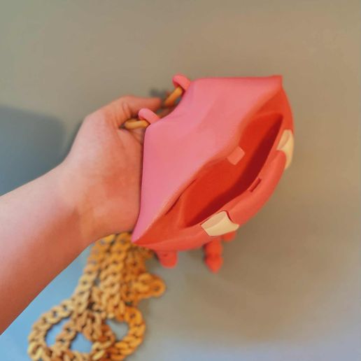 8a752cc8-ca5b-440c-9327-d143341393ed.jpg Lip Fang Purse (sac entièrement fonctionnel)