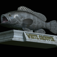 White-grouper-open-mouth-statue-39.png fish white grouper / Epinephelus aeneus open mouth statue detailed texture for 3d printing