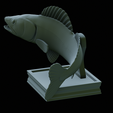zander-trophy-43.png zander / pikeperch / Sander lucioperca fish in motion trophy statue detailed texture for 3d printing
