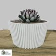 14.jpg Combo of 6 flower pots models for 3d printing, #A2