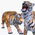 portada2kujh48o7.png TIGER DOWNLOAD Bengal TIGER 3d model animated for blender-fbx-unity-maya-unreal-c4d-3ds max - 3D printing TIGER CAT CAT