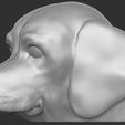 14.jpg Puppy of Pointer dog head for 3D printing