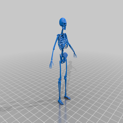 Skeleton.png Skeleton