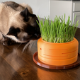 HydroponicCatGrassGrower_01.png Carrot Cat Grass Hydroponic Grower to grow Cat Grass without Soil