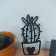 IMG_20221128_140422.jpg Decorative cactus