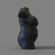 untitled5.38.jpg Sexy fat woman torso for candle
