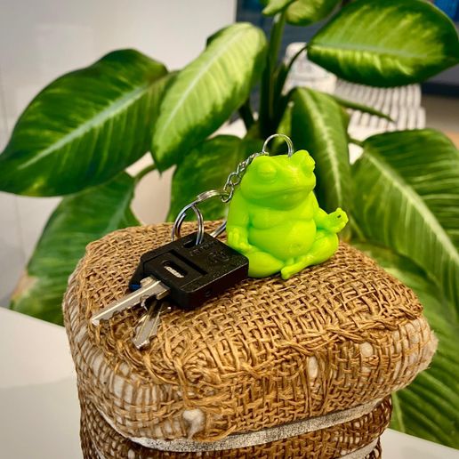 138.jpeg 🔑⛓️🐸🧘🏼‍♀️ ¡NAMASTE del ESTANQUE!