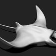 010_manta-ray-mantas-3d-print-aquarium-3d-model-c2fb9740b6.jpg Manta Ray - Mantas - 3D Print - Aquarium