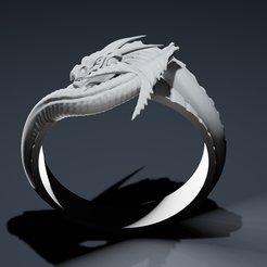 WholeSHot.png STL file Dual Dragon Ring・3D printer design to download