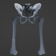 h1.png STL file Hip Replacement model・3D printing design to download