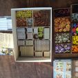 IMG_20200105_0908164.jpg Caverna: The Cave Farmers  with expansions ORGANIZER -  3D PRINT MODEL